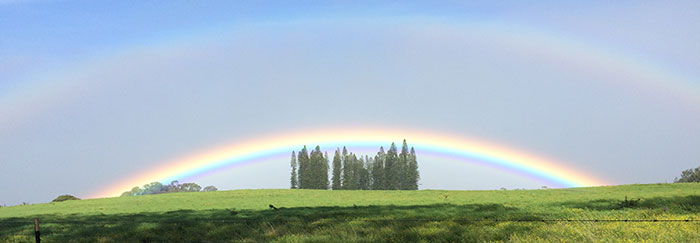test rainbow