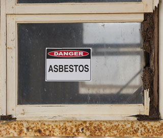 asbestos and lead paint assessment